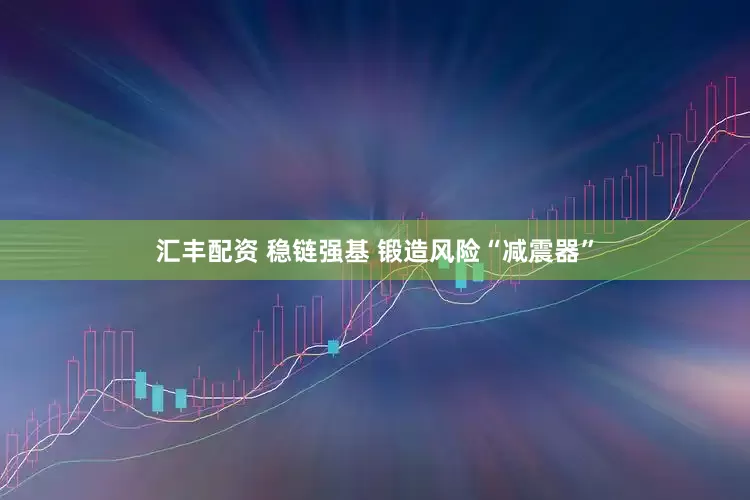 汇丰配资 稳链强基 锻造风险“减震器”