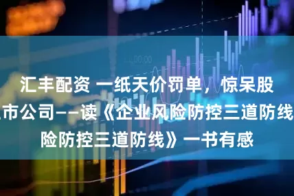 汇丰配资 一纸天价罚单，惊呆股民，警醒上市公司——读《企业风险防控三道防线》一书有感