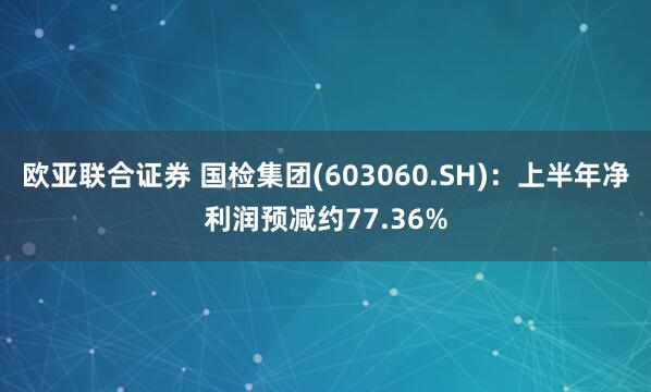 欧亚联合证券 国检集团(603060.SH)：上半年净利润预减约77.36%
