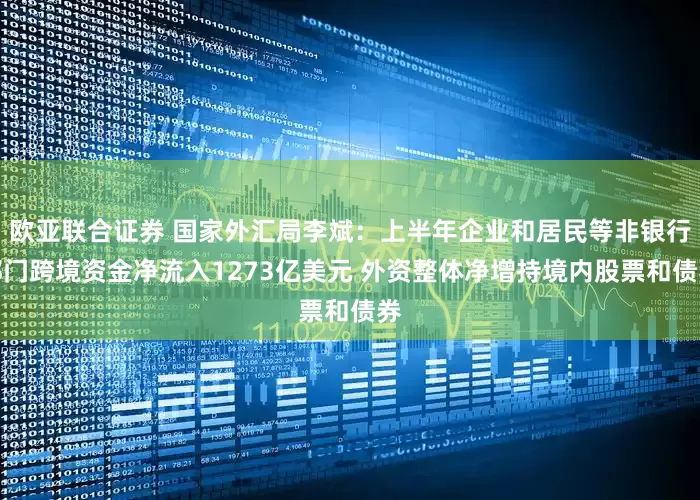 欧亚联合证券 国家外汇局李斌：上半年企业和居民等非银行部门跨境资金净流入1273亿美元 外资整体净增持境内股票和债券